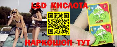 spice Свободный