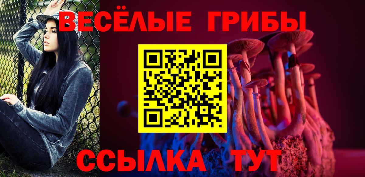 Псилоцибиновые грибы Psilocybine cubensis Нурлат